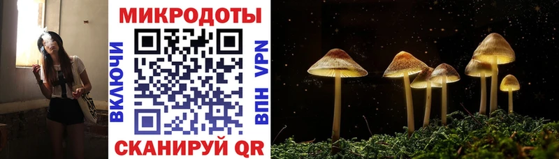 Псилоцибиновые грибы Cubensis  Купить закладки  Мостовской 